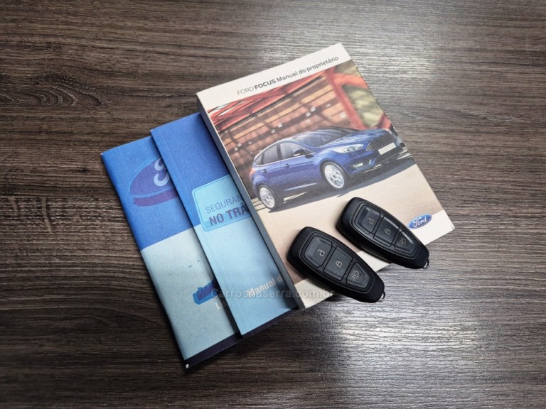 FORD - FOCUS - 2019 - Cinza